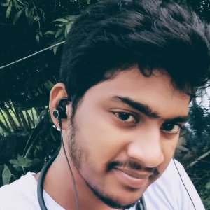 Palasesh Kulkarni