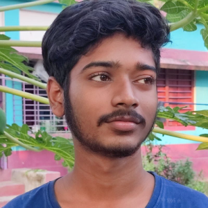 Pallav Mondal