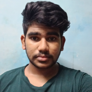 Pankait Kulkarni