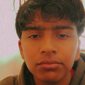 Partav Goyal