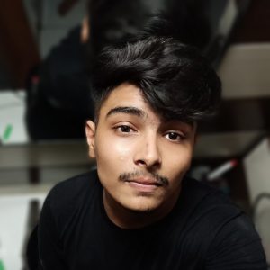 Partesh Pawar