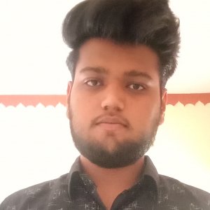 Parth Shiwane