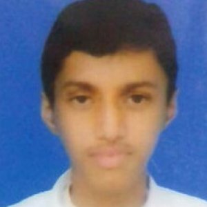 Parthiv Somnath Goswami