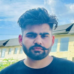 Parveeesh Goyal