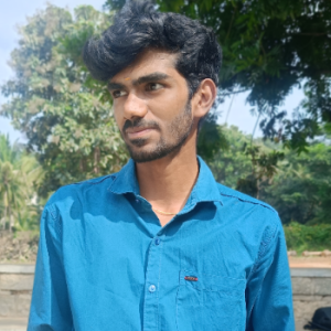 Parveen Vyas