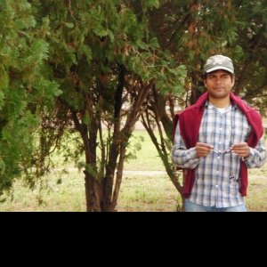 Pashupatesh NairProfile Image