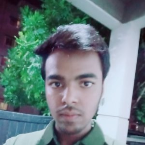 Piyusesh Kulkarni