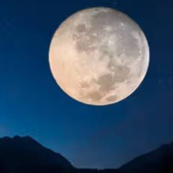 Pooja KakarlaProfile Image