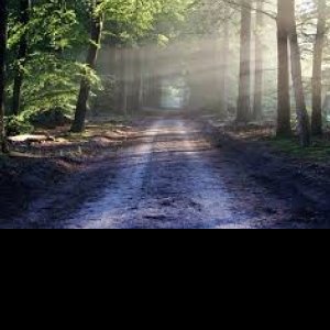 Pranait ReddyProfile Image