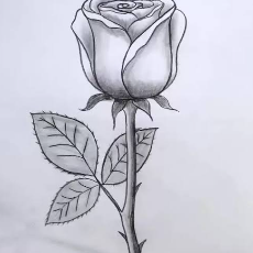 Preeti RajputProfile Image