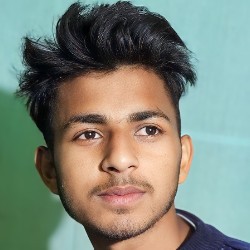Princesh GoyalProfile Image