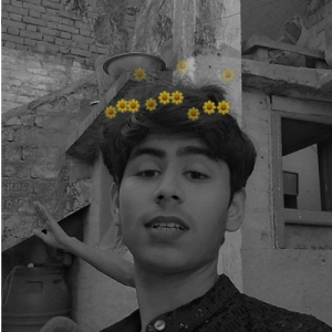 Princesh ReddyProfile Image