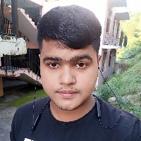 Princit Awasthi