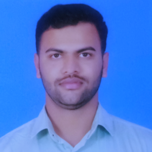 Pritesh K