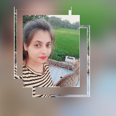 Punaav Verma