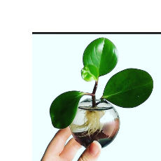 Puttu RajanProfile Image