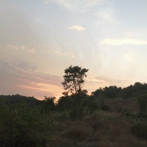 Raeeav Goyal