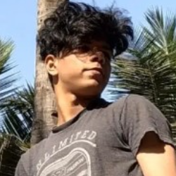 Rajan Goyal