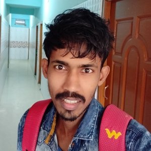 Rajesav Verma