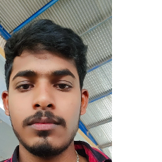 Rajesh Bhargav
