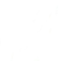 Rajnisit GuptaProfile Image