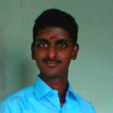 Raju Kapoor