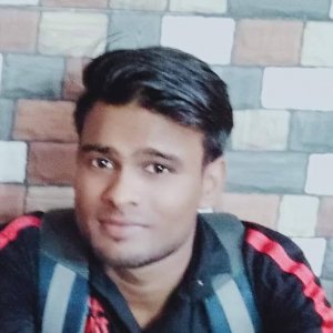 Raman Joshi