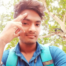 Raman Joshi
