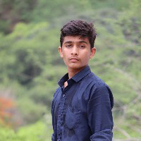 Raman Reddy