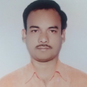 Ramesesh KulkarniProfile Image