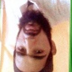 Rayeean PandeyProfile Image