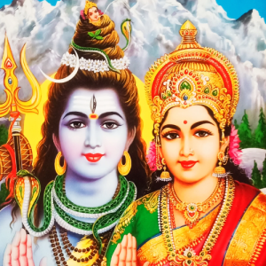 Rina KhanProfile Image