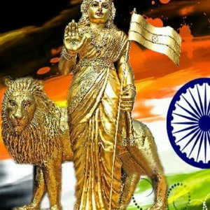 Rishesh Reddy
