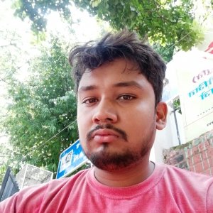 Rishideav ChauhanProfile Image