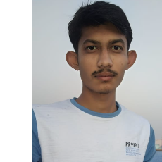 Ritesh BhatnagarProfile Image
