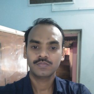 Rizwaesh Goyal