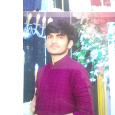 Rohan ShaikProfile Image