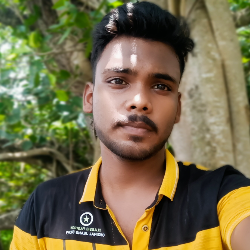 Rokin Bansal