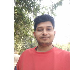 Ronaan Verma