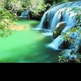 Ronan KleinProfile Image