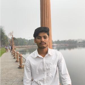 Ronit Bahadur
