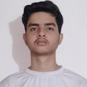 Ronit Jha