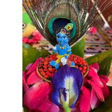 Rupalini PansalProfile Image