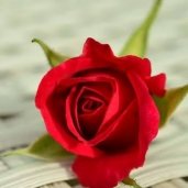 S.in Deshpande