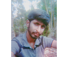 Sachiav TrivediProfile Image