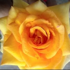 Sadhanesh TiwariProfile Image