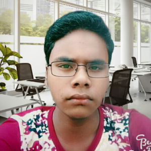 Safiduav Joshi