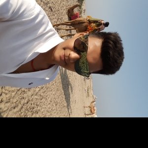 Sagait Tiwari