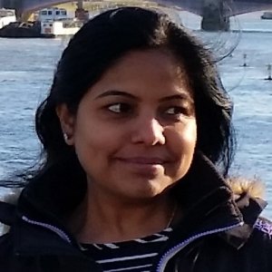 Sangitesh Kulkarni