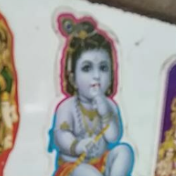 SANIKA WALI